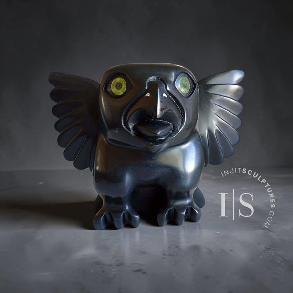 CURATOR'S CHOICE 11" Owl by Toonoo Sharky *Jet*