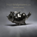 8" Baby Walrus  by Pavinak Petaulassie  *Tummy Scratch*