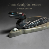9" Loon Protecting Her Nest by Isaac Amitook *Watch Your Step*