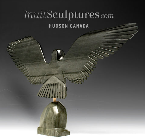 18" Hawk by Joe Sala *Cleared For Landing*