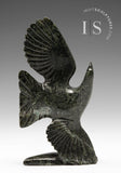 5" Soaring Bird by Kelly Etidloie *Aerial*