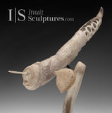9" Sea Creature by Daniel Shimout *The Deep*
