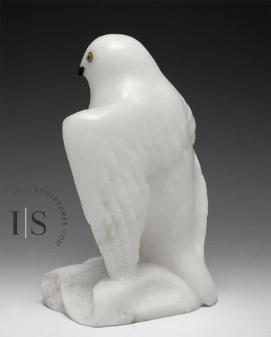 RESERVED** 8" Snowy Owl (Uppik)  Derrald Taylor *Black Tie Affair*