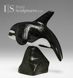 6” Orca by Johnnysa Mathewsie *Clearing The Bar*