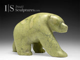 11" Walking Bear by Moe Kolola *On High Alert*