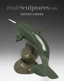 8" Narwhal by Jimmy Iqaluq