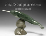8" Narwhal by Jimmy Iqaluq