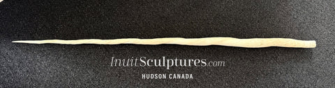 74" PERFECT TIP Narwhal Tusk Ivory