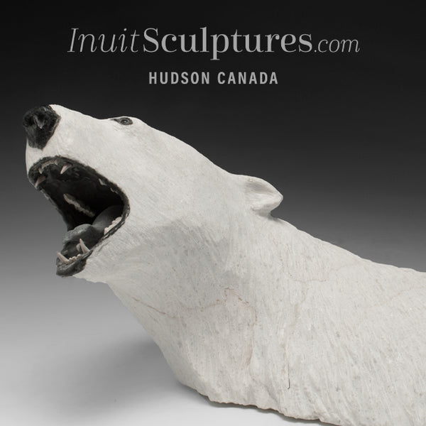 24" Rare Open Mouth Polar Bear Head by Paul Malliki  *Pearly Whites*