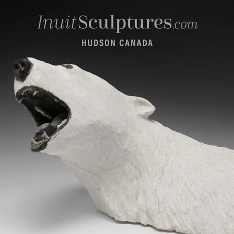24" Rare Open Mouth Polar Bear Head by Paul Malliki  *Pearly Whites*