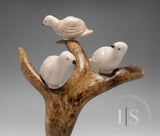 12" Ptarmigans (Birds) in a Tree by Peter K. *A Stop Along The Way*