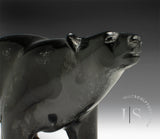 8.5" Walking Bear by Tim Pee *A Study in Calm*