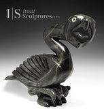 25" SIGNATURE Dancing Bird by Toonoo Sharky *Lionheart*