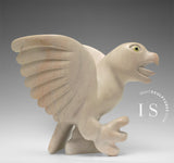 10" SIGNATURE Ookpik from Toonoo Sharky's hands in Cape Dorset *Chester*