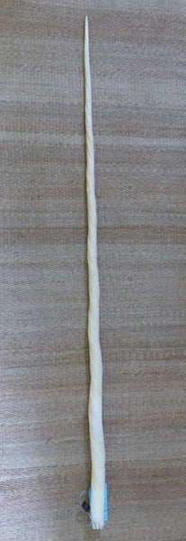70" Narwhal Tusk Ivory