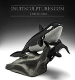 14" Mère et petit Orca (Épaulards) Baleines par Maître Derrald Taylor